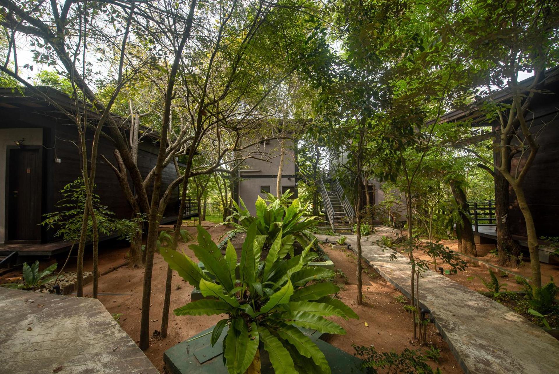 Atha Resort 锡吉里亚 外观 照片